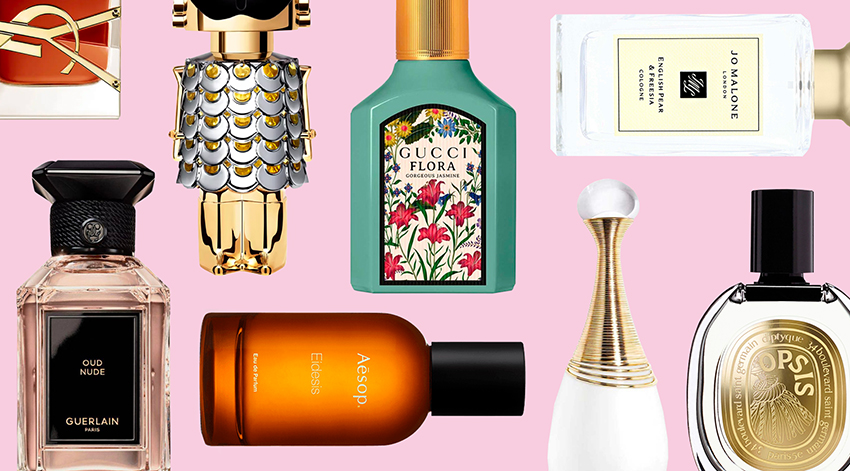 olfactory_main
